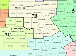 Texas Oil & Gas Division District Map