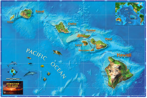 Hawaii Wall Map - Houston Map Company