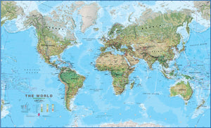 Environmental World Wall Map