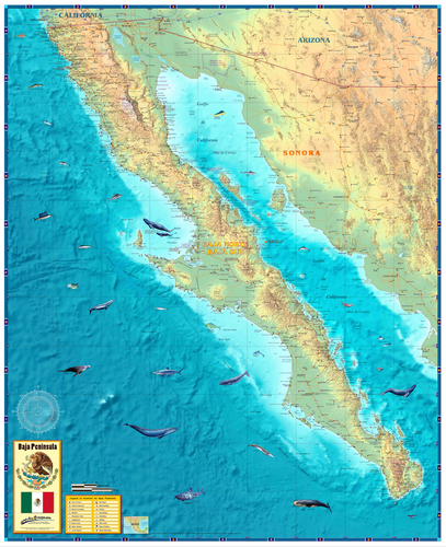 Baja Wall Map - Houston Map Company