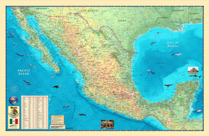 Mexico Wall Map - Houston Map Company