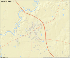 Navasota Texas Mini-Map - Houston Map Company