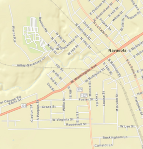 Navasota Texas Mini-Map - Houston Map Company